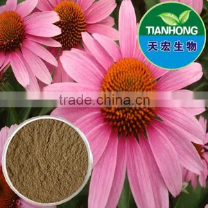Herbal Echinacea Purpurea Extract Chicoric Acid thumbnail-1