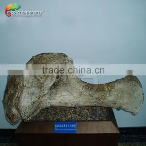 T-rex Resin Skull Fossil thumbnail-2