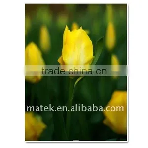 260gsm One-side Wove Photo Paper thumbnail-1