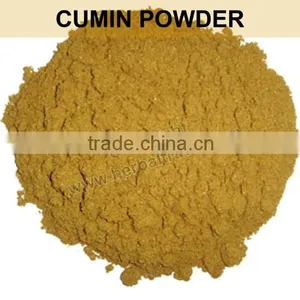 CUMIN POWDER thumbnail-1
