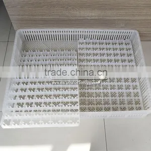 Hot Sale Solar Chicken Egg Incubator thumbnail-3