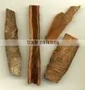 Cassia thumbnail-1
