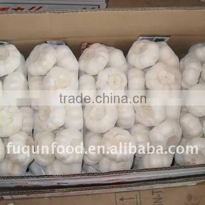2012 Crop Fresh Garlic in 1kg Retail Packing thumbnail-1