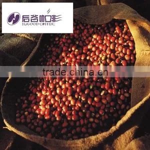 Freeze Dried Coffee Bulk thumbnail-2