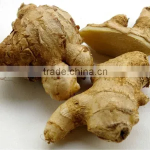 Indian Fresh Gingers thumbnail-1