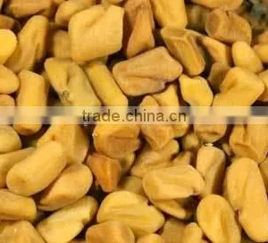 FENUGREEK SEEDS thumbnail-4