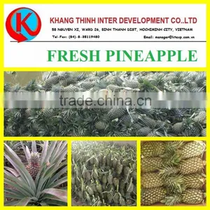FRESH SWEET PINEAPPLE BEST PRICE thumbnail-1