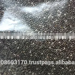 Organic Chia Seed thumbnail-4