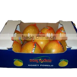 Chiness Pomelo thumbnail-1