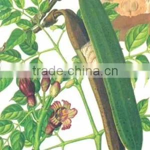 GMP Natural High Quality Chrysin 99% thumbnail-2