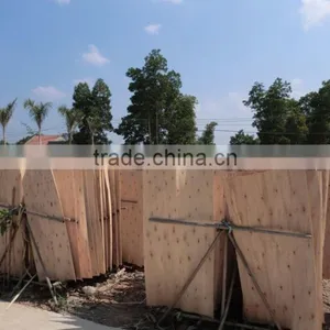 THUAN PHAT SUPPLYING SHORT CORE VENEER FOR PRODUCING PLYWOOD WITH CHEAPEST PRICE thumbnail-1