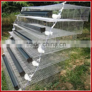 Layer Assemble Quail Cage With Assembling Tools For Sale thumbnail-2