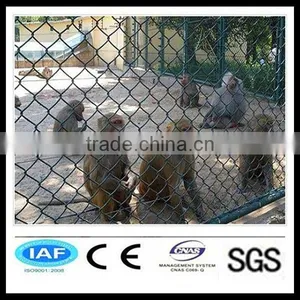 Glavanized & PVC Coated Animal Security Fence/Zoo Fencing thumbnail-1
