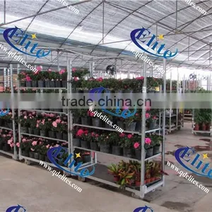 244 Shelf for Roller Container Shelf for Dutch Trolley Shelf for Nursery Flower Cart thumbnail-6