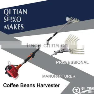 COFFEE BEANS PICKING thumbnail-1