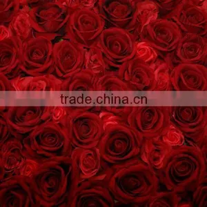 China Supplier Wedding Decor Wall New Design Wedding Decor Flower Wall thumbnail-3