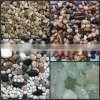 Dark Blue Granite thumbnail-1