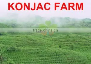 Ator Food Co., Ltd. (Shenzhen) company overview - view 1 thumbnail