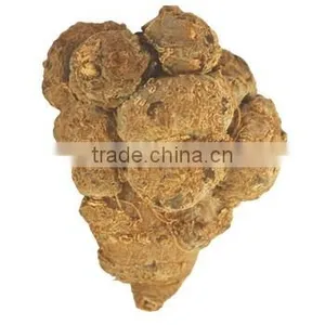 Factory Supply Dietary Supplyment 100% Natural Panax Notoginseng P.E. / Wild Radix Notoginseng Extract thumbnail-1