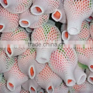 Soft Protection PE Plastic Sleeve Net for Flower Bud thumbnail-4