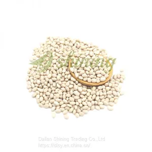 Navy Bean Small White Kidney Beans Haricot Beans thumbnail-3
