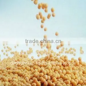 Chinese Organic Soybeans thumbnail-1