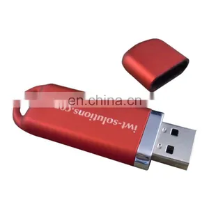 2020 Plastic Customs Logo Usb Flash Drive Promotional Gift 2gb 4gb Memory Sticker Oem Logo Pen Drive thumbnail-3