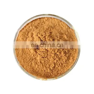 SCIYU Echinacea Purpurea Extract Cichoric Acid 1%-4% Polyphenols 4%-7% HPLC UV thumbnail-3