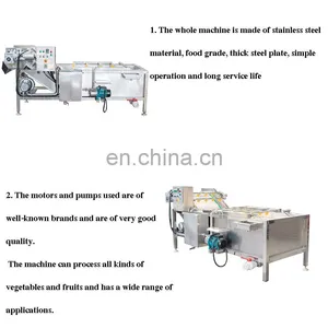 High Qulaity Stainless Steel Fruit and Vegetable Bubble Washing Machine thumbnail-4