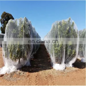20 Mesh 120gsm Insect Net for Agriculture Greenhouse Horticulture thumbnail-5