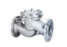 Flange-Mounted Lift Check Valve for Preventing Reverse Flow thumbnail-1