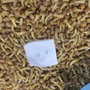 IQF Frozen Nameko Pilztaste Pilztaste thumbnail-3