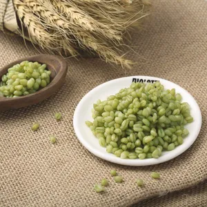 Premium Frozen Wheat Germ Kernel - No Additives Added | Nutritious for Porridge & Dessert thumbnail-3