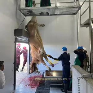Stainless Steel 304 Cattle Slaughter Equipment Hydraulic Cow Dehiding Machine Bovine Slaughter Processing Equipment thumbnail-2