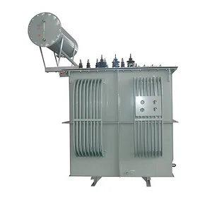 Three-Phase 11kV 22kV 33kV Zigzag Grounding Transformer With Neutral Grounding Resistor NGR NER System for Substation Grounding Protection thumbnail-1