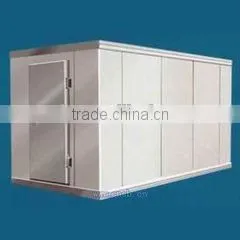 Defrost Icecream Storage Freezer for Meat and Fish thumbnail-1