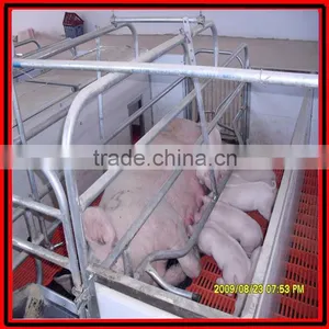 Adjustable Farrowing Crate for Pig Raising thumbnail-3