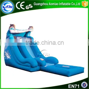 Most Funny Item Water Slide Giant Inflatable Slide With Pool Supplier's Choice thumbnail-1