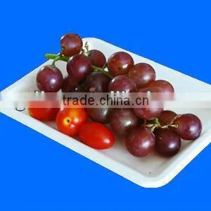 Fancy 100% Tree-free Biodegradable Bagasse Paper Small Fruit Tray thumbnail-1