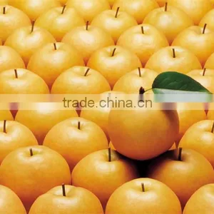Buying Online in China Custom Canned Snow Pears thumbnail-4