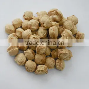 TVP /TSP/Soya Protein Production Line thumbnail-4