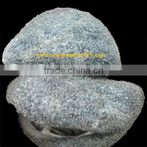 Ball Sea Cucumber Vietnam, Pingpong Fish, Holothuria Spp thumbnail-2