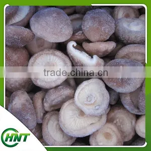 Frozen Shiitake Mushroom Iqf Shiitake Mushrooms thumbnail-2