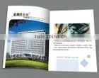 Illustrated Book With Perfect Binding Paper Flyers Paper Posters thumbnail-1