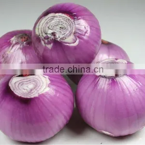 Dry Onion Granules thumbnail-1
