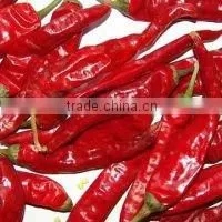 Indian Oleoresin Capsicum by AOS thumbnail-1