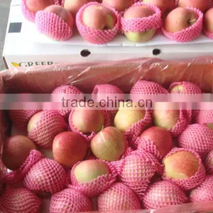 Fresh Apple for New Season for Sale thumbnail-1