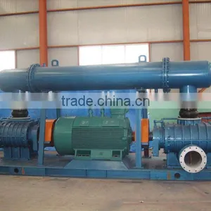 Roots Air Blower for Sewage Treatment thumbnail-4