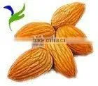 Big American Almond Kernels thumbnail-1