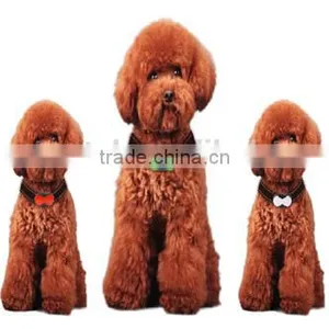 2015 Widely Use Personal Gsp Tracker/pet Gps Tracker/vehicle Gps Tracker thumbnail-2